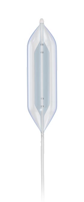 BiB