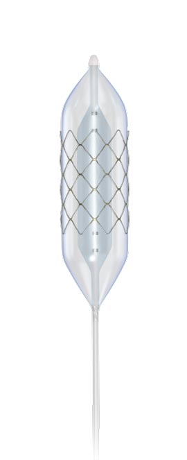 CP Stent™